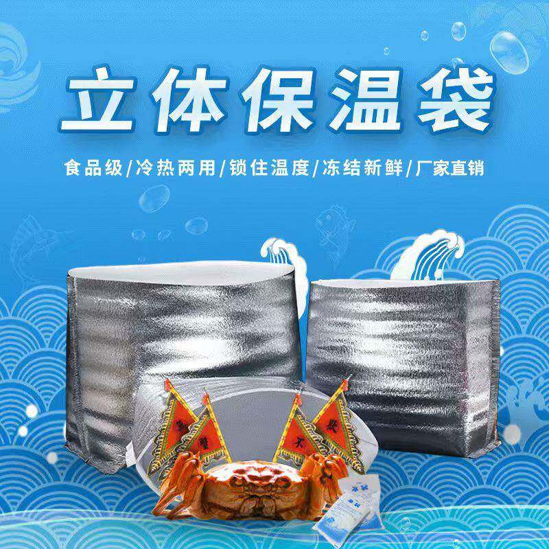 立体铝箔保温袋一次性冰淇淋海鲜大闸蟹水果蛋糕隔热保冷袋定制