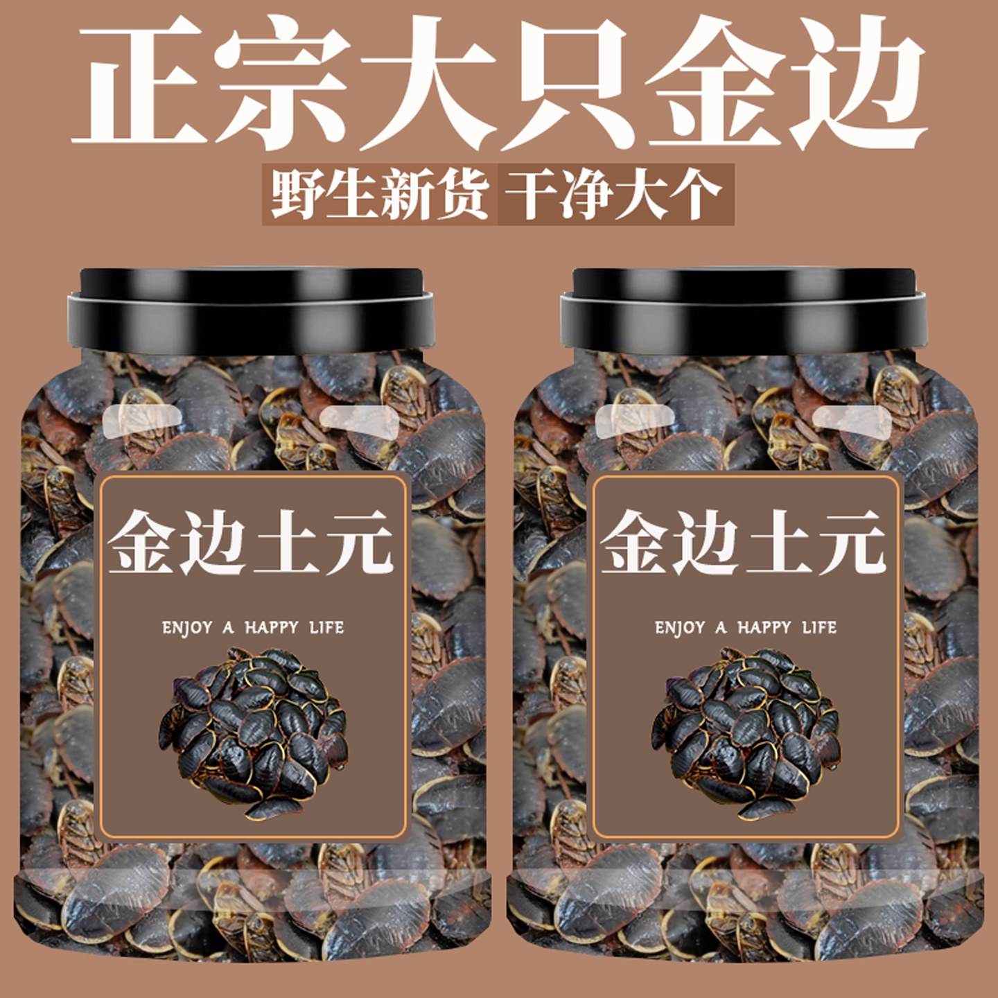 金边土元中药材土鳖虫土别土元地乌龟金边土元地鳖粉土元粉金边虫