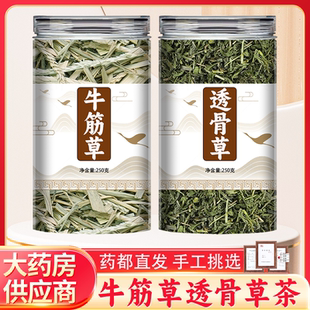 牛筋草透骨草中药材正品旗舰店野生新鲜干牛根草泡脚的功效与作用