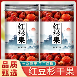 红豆杉果子南方红豆杉果实干含紫杉醇原料正品新鲜红豆杉干果包邮