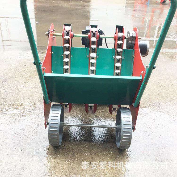 河南鹤壁单行大蒜播种机手推电机版行距株距可调有视频2行种蒜机