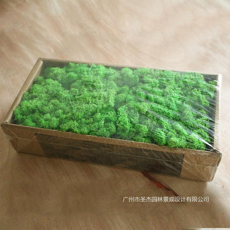 特色仿真青苔植物墙餐厅墙体永生青苔绿植墙装饰 仿真阻燃植物墙