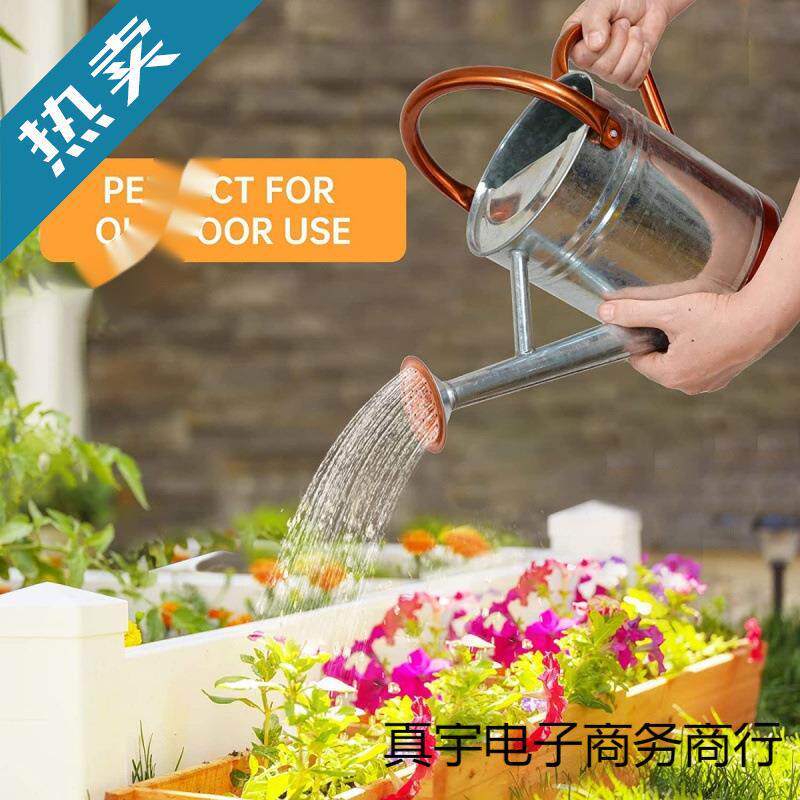 欧美高品质洒水壶浇花壶两用4L