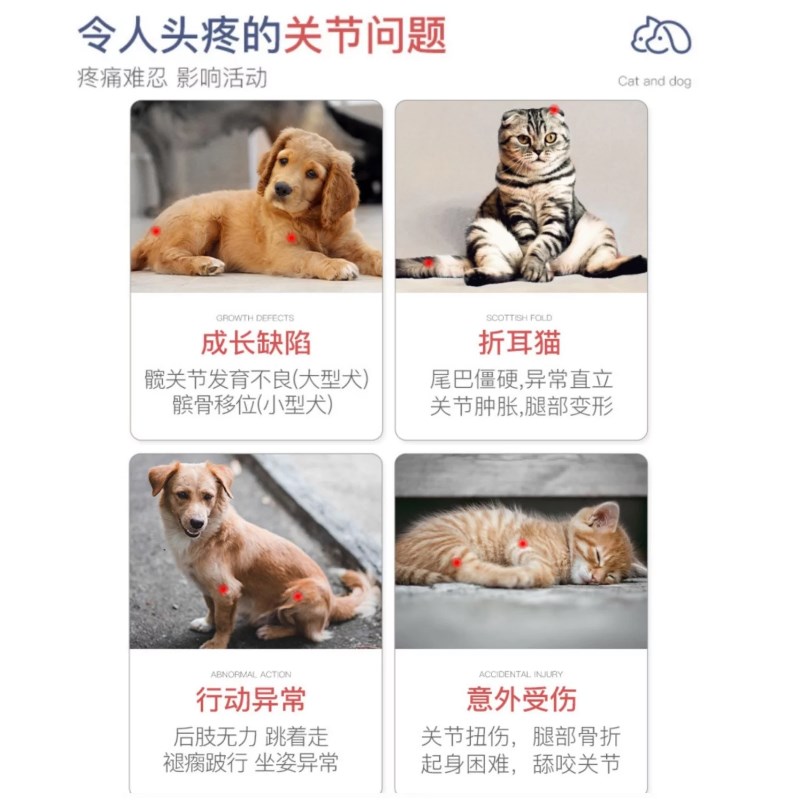 爱固宝保护关节软骨素杜立德骨折修复宠物猫咪狗狗折耳猫