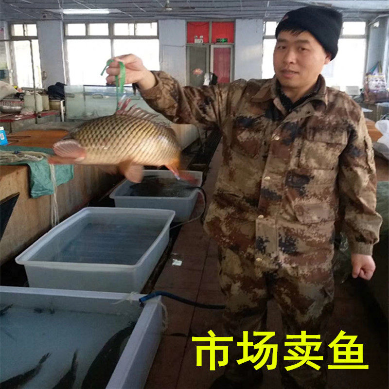 加厚塑料水盆200L升塑胶桶整理箱塑料方箱养龟鱼化工水箱蓄水器