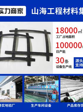 80KN100KN双向钢塑复合土工格栅路基GSGS土工格栅GSZ钢塑土工格栅