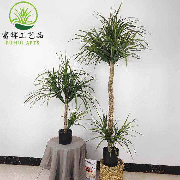 仿真植物千年木龙血树铁树龙