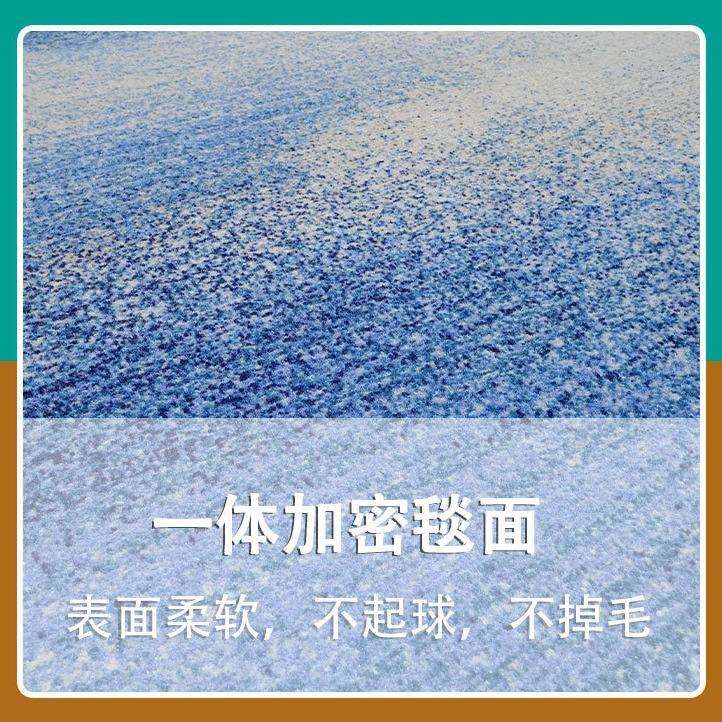 商用酒店地毯尼龙材质地毯1000克防火不掉色加厚走廊客房家用地毯