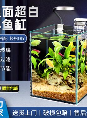 家用新款厅态鱼缸免换水客生电视柜缸白桌面超小型超白玻璃水族箱
