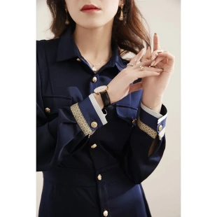 设计高级感裙子2025年新款春季法式高端轻奢长袖气质百褶连衣裙女