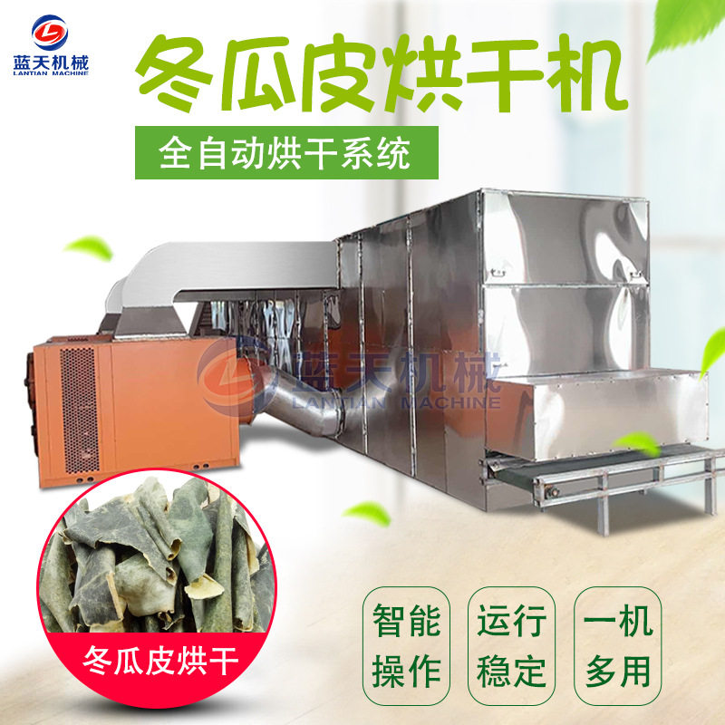 冬瓜皮烘干机 大型白瓜皮白东瓜皮除湿烘干线 网带冬瓜皮烘干设备