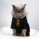 宠物猫咪比熊小型小狗衣服猫咪衣服夏季 没胖 文字款 薄款 防掉毛