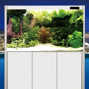 鱼缸背景贴纸画高清3d立体水族箱造景画鱼缸箱装 挂画 饰外贴新款