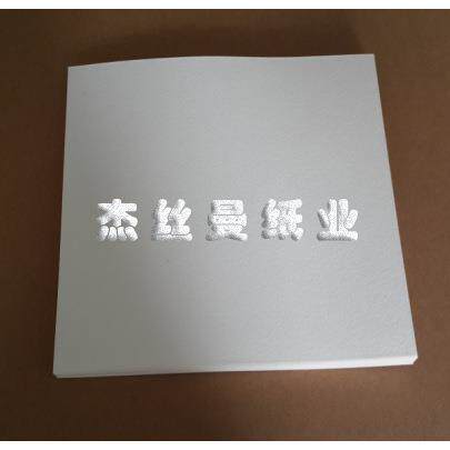 Western blot转膜用滤纸实验室用蛋白转印纸湿转半干转吸水滤纸厚