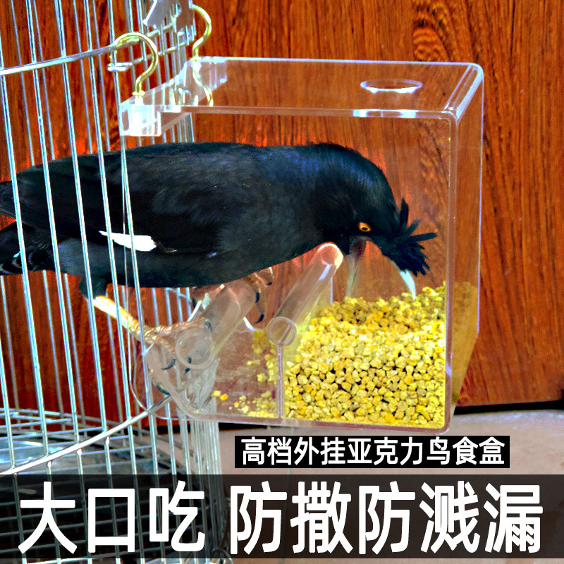 防溅食盒防撒鹦洒外挂食杯大食鸟食罐防鹉八哥鸟笼防甩自动喂号器