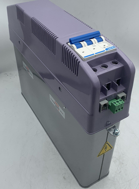 智能集成电力电容器CD-ZS/450V共补无功补偿装置250V分补