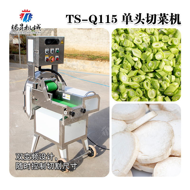 大型单头切菜机 叶菜类切块切丝机 芹菜切丁切段机 全自动切菜机