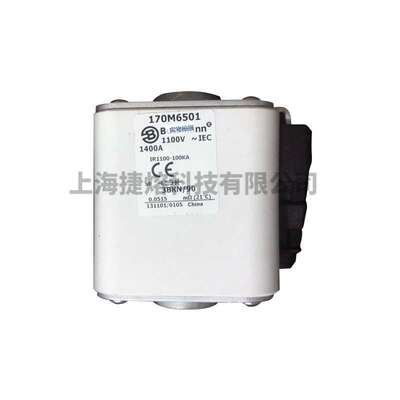 170M6501 170M6540 快速熔断器  保险丝 电子元器件 量大价优