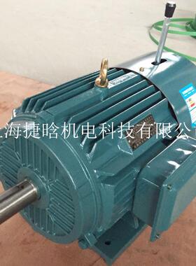 YEJ160L-218.5KW三相异步交流抱闸电磁制动电机