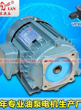 3HP5.5HP大兰DALAN内轴液压电机VP30油泵专用电机DL-112M-4-4KW
