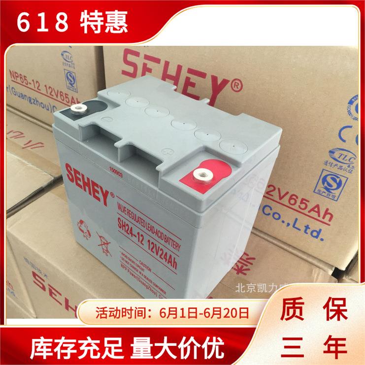 西力蓄电池SH38-12(SEHEY)铅酸蓄电池12V38AH价格