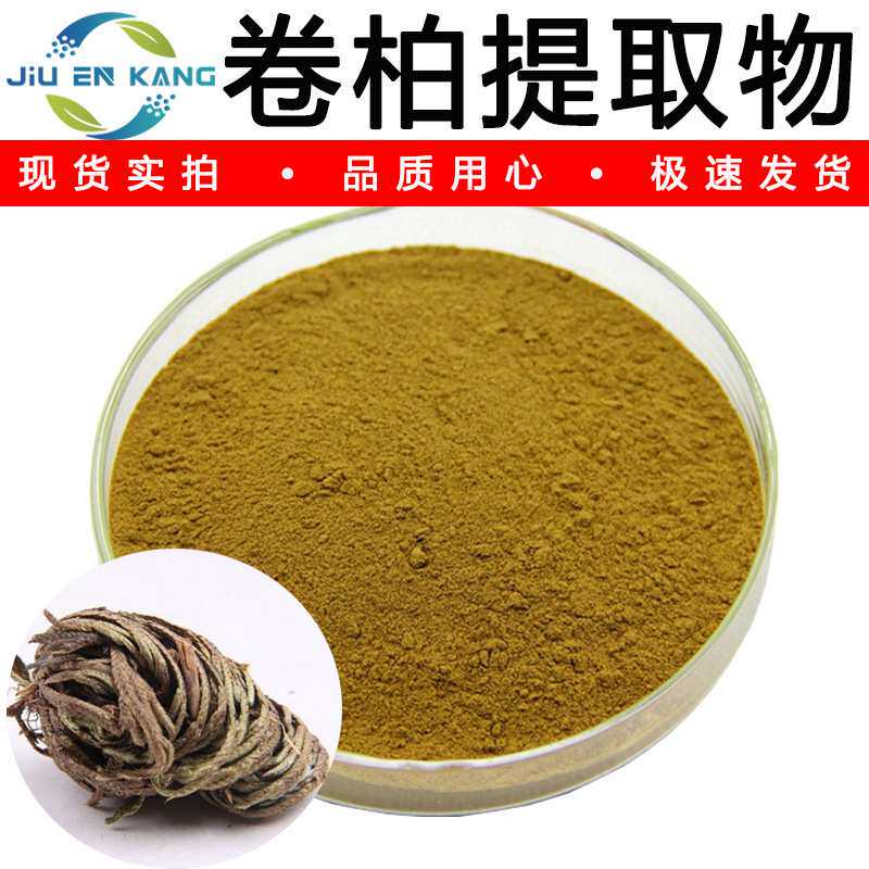 卷柏提取物水溶卷柏粉另有卷柏黄酮高比例萃取长生草提取物现货