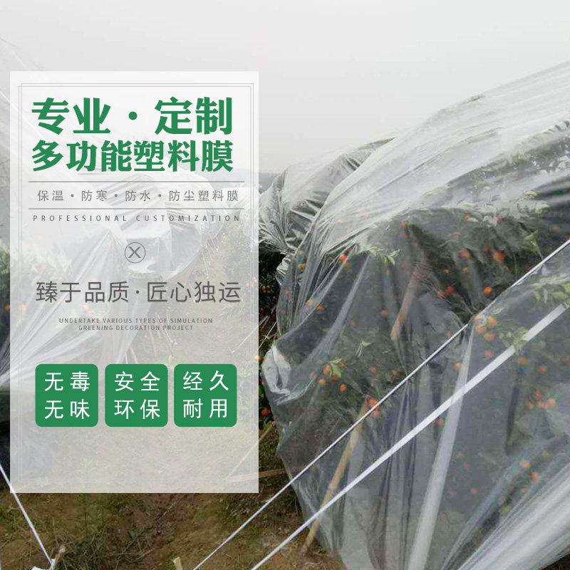 2 3 4 5米宽透纸塑料薄膜明加厚防水布棚大膜防尘白色包装膜农用