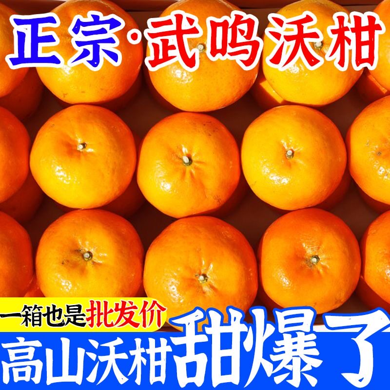 【彩箱装】广西武鸣沃柑9斤橘子新鲜桔子水果当季沙糖蜜橘砂糖桔,水产肉类/新鲜蔬果/熟食,桔子,淘宝优惠券,粉丝福利购,淘宝优惠卷