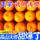 广西武鸣沃柑9斤橘子新鲜桔子水果当季 彩箱装 沙糖蜜橘砂糖桔
