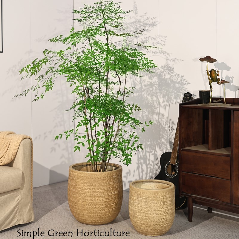 轻泥高级感堂奢花盆特大号龟背竹天水鸟民宿商场软装高筒镁泥花器