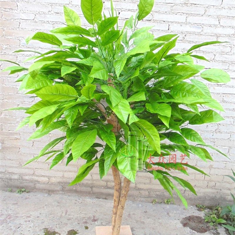 仿真芒果树假芒果树档果水超市水假堆头展位装饰水果树果绿植