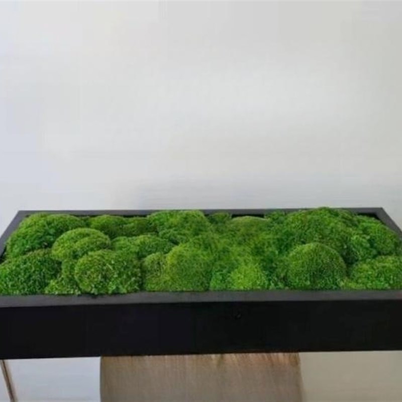 仿铜定制压花金属装饰方盒永生苔藓盆景 样板房酒店装饰柜桌面