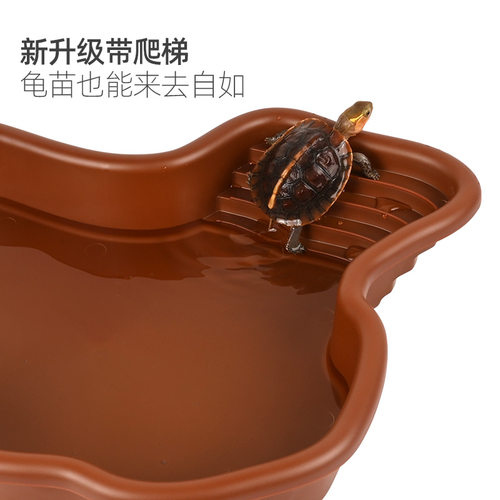 乌龟泡澡盆陆龟黄缘半水龟洗澡盆喂水喂食盘爬宠饲养箱造景用品