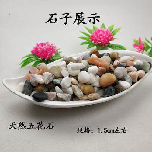 小鱼缸彩石造景仿真水草摆件水族箱乌龟缸装饰水草套餐假塑料水草
