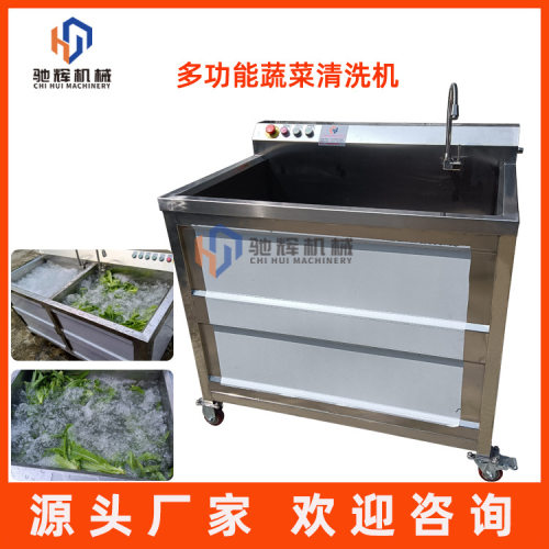 小型电动洗菜机商用不锈钢蔬菜清洗机西红柿清洗机洗果机现货
