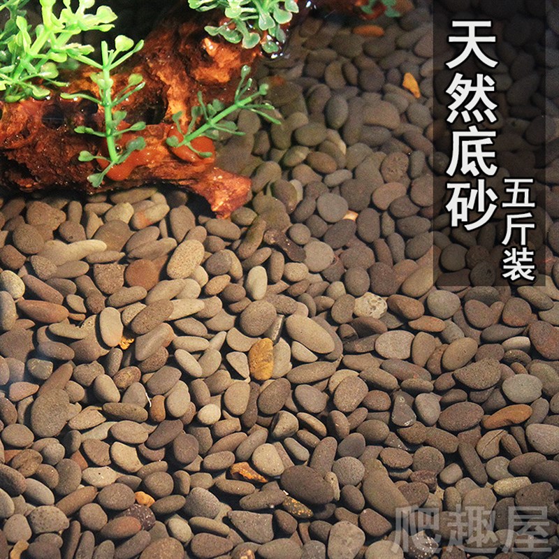 乌龟缸底砂小石子鱼缸造景布景底石头垫材黑色天然底沙水族箱沙石