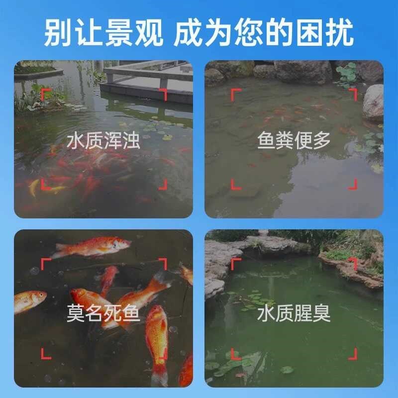 yee硝化细菌鱼缸用净水粉养鱼净化水质稳定分解鱼便消化活菌粉