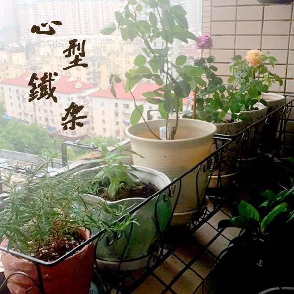 卉菜心型挂架园艺盆美花盆铁架阳台栏杆牢固耐用不生锈挂花种架子