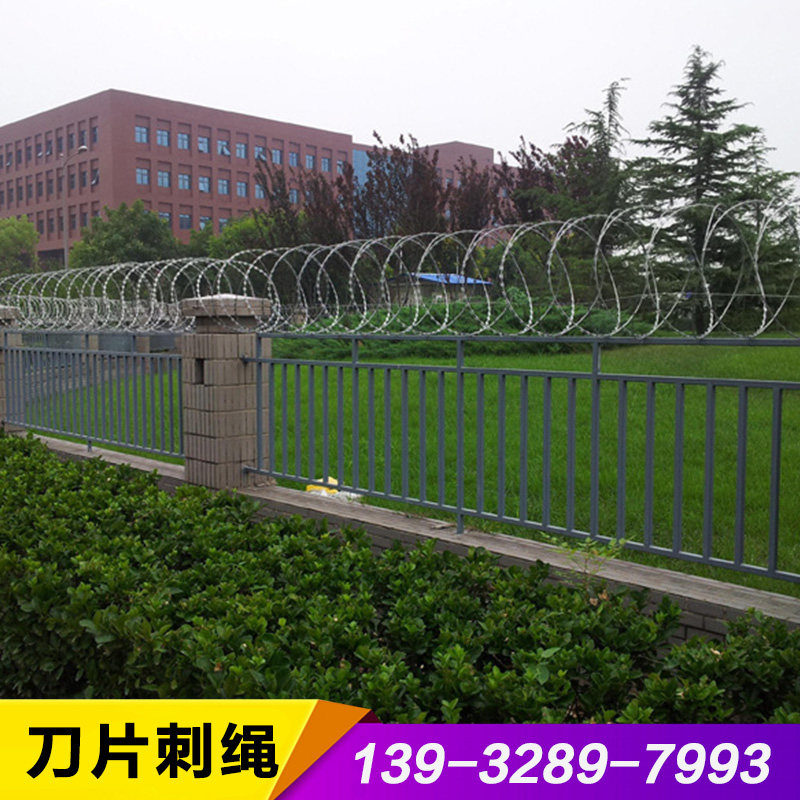 刀片刺绳刺网不锈钢刺丝滚笼热镀锌防盗网带刺铁丝防爬钢丝铁蒺藜