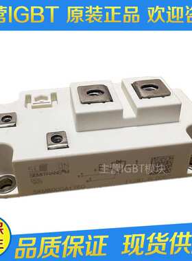 SKM600GA12E4 SKM300GA12E4 SKM400GA12E4 SKM900GA12E4原装