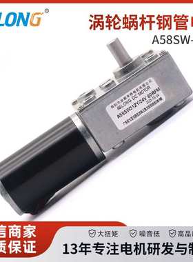 A58SW31ZY永磁涡轮蜗杆直流减速电机 直角自锁智能家居自动窗帘机
