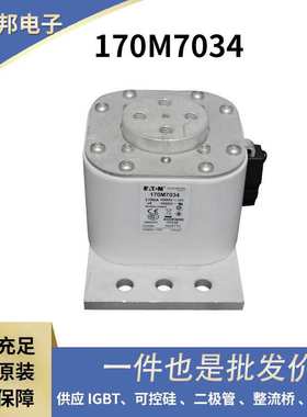 170M4469 170M4488 170M4489原盒低压熔断器 保险丝