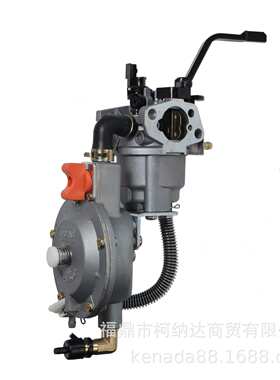 化油器LPG168机组GX160 GX200 168F 3-5KW LPG168多燃料液化气机