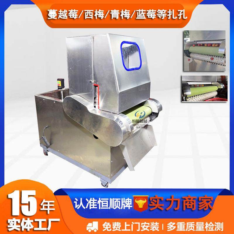 果脯蜜饯杏子刺孔机 水果加工前处理蔓越莓扎孔机,清洗/食品/商业设备,果蔬加工设备,淘宝优惠券,粉丝福利购,淘宝优惠卷