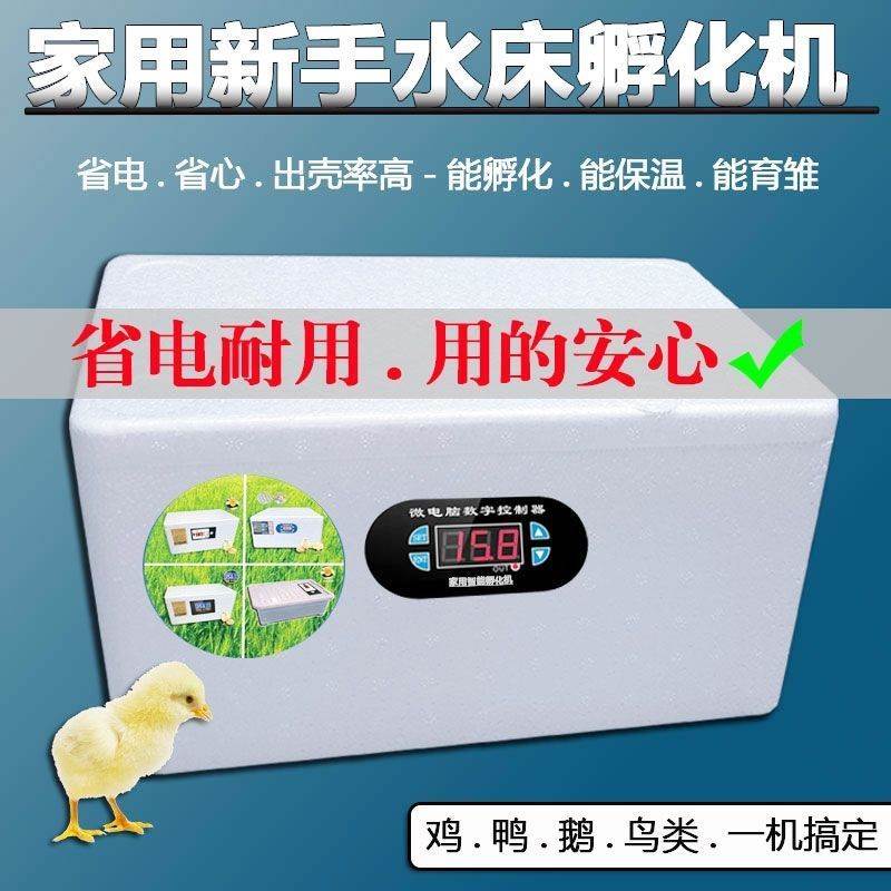 康康孵化器智能恒温全自动水床孵化器迷你家用小鸡孵化机孵化箱