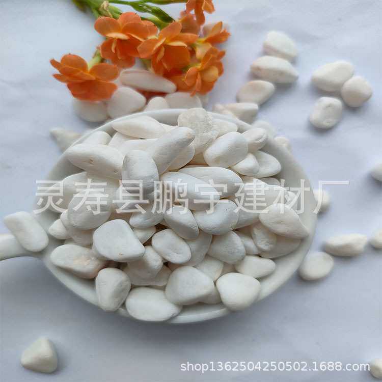 鹏宇雪花白多肉盆栽铺面白色机制鹅卵石 鱼缸造景铺路装饰小石子