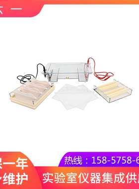 北京六一DYCP-31E型琼脂糖水平电泳仪(中号)