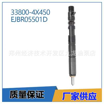 33800-4X450 338014X450 柴油共轨喷射器 EJBR05501D 适用于起亚