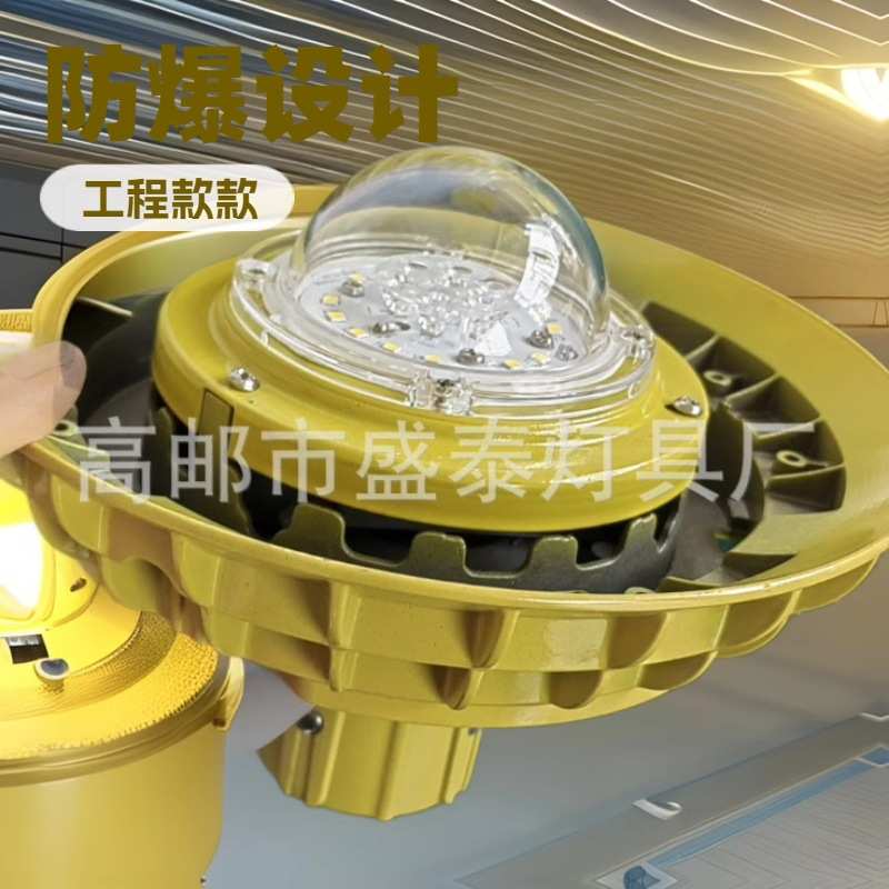 led中华灯及一体化灯球内外上下发光球IP66城市亮高邮制造