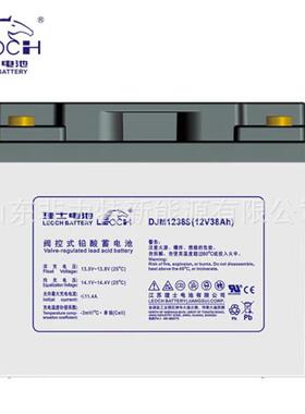 理士电池(LEOCH)DJM1238S 12V38AH工业电池蓄电池 UPS电源直流屏
